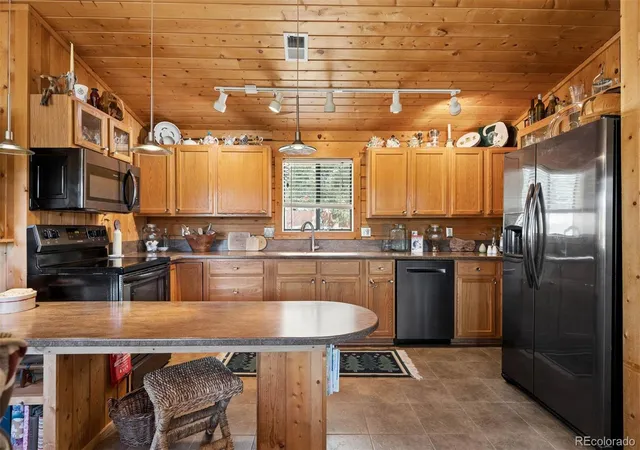 Photo 4 of Single family home for sale at 247 Bunny Rd, Bailey, CO 80421 | MLS# 2173441 | Listing updated on 2026-08-26