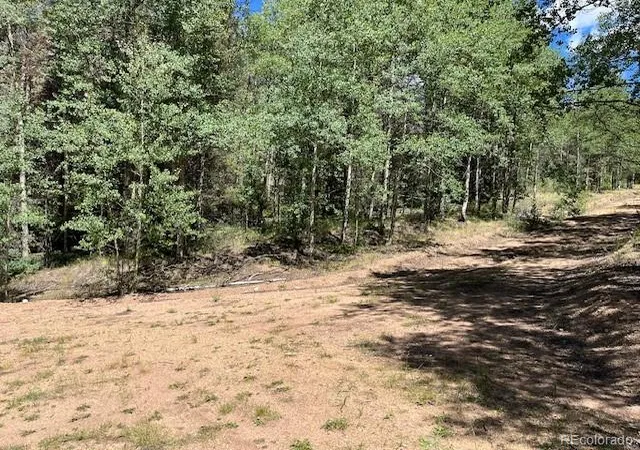 Photo 1 of Land for sale at Lot 5655 Highlander Rd, Fort Garland, CO 81133 | MLS# 4182756 | Listing updated on 2026-09-01