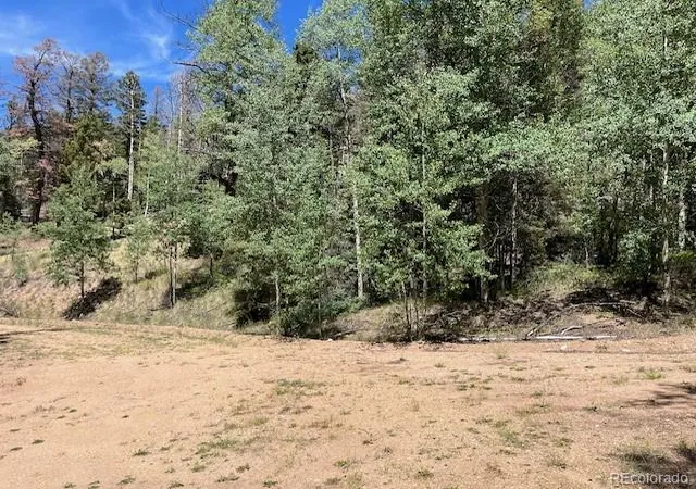 Photo 2 of Land for sale at Lot 5655 Highlander Rd, Fort Garland, CO 81133 | MLS# 4182756 | Listing updated on 2026-09-01