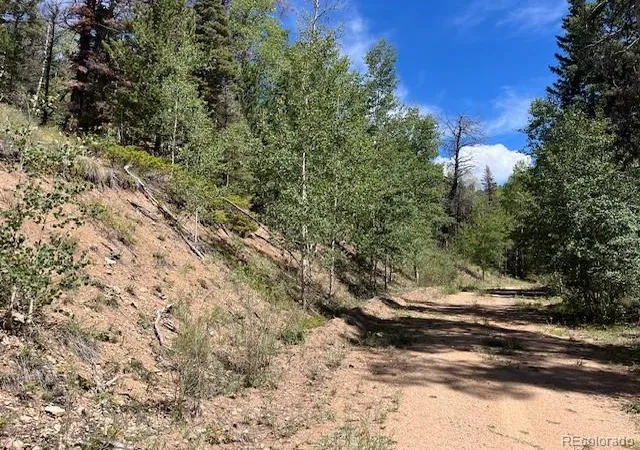 Photo 22 of Land for sale at Lot 5655 Highlander Rd, Fort Garland, CO 81133 | MLS# 4182756 | Listing updated on 2026-09-01