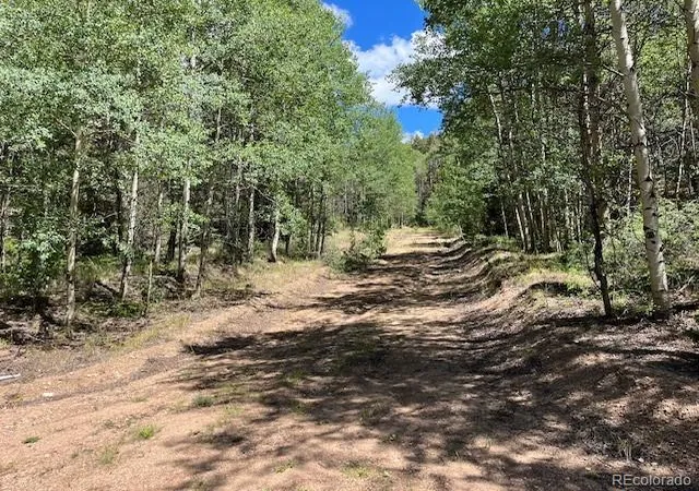 Photo 3 of Land for sale at Lot 5655 Highlander Rd, Fort Garland, CO 81133 | MLS# 4182756 | Listing updated on 2026-09-01