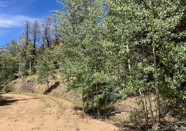 Photo 4 of Land for sale at Lot 5655 Highlander Rd, Fort Garland, CO 81133 | MLS# 4182756 | Listing updated on 2026-09-01