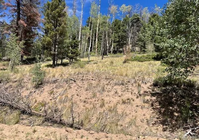 Photo 5 of Land for sale at Lot 5655 Highlander Rd, Fort Garland, CO 81133 | MLS# 4182756 | Listing updated on 2026-09-01