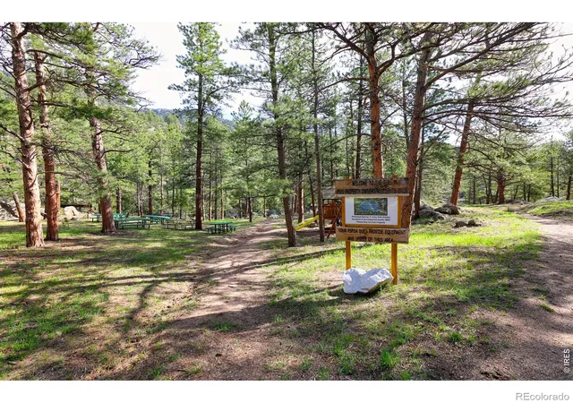 47th image of 465 Deer Ln, Lyons, CO 80540 | MLS# IR1067176