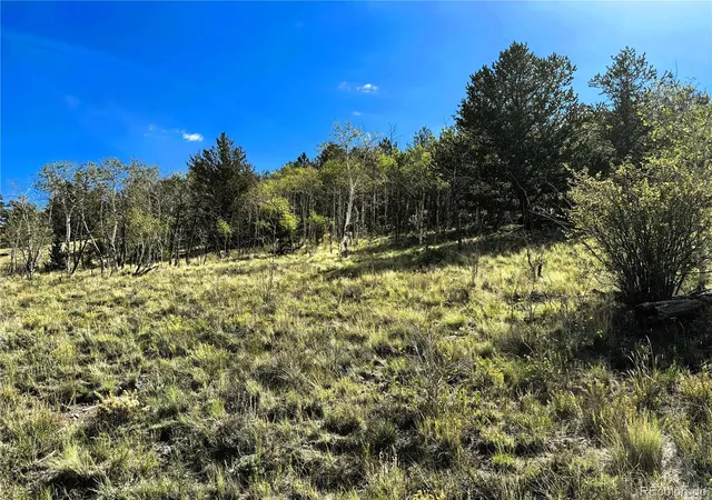Photo 3 of Land for sale at 8390 Chickasaw Rd, Hartsel, CO 80449 | MLS# 6873671 | Listing updated on 2026-08-30