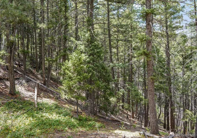 5th image of 15947 S Perry Park Rd, Palmer Lake, CO 80133 | MLS# 6841348