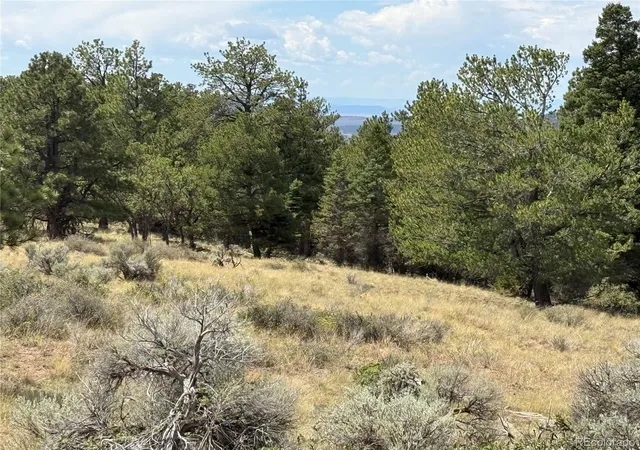 Photo 3 of Land for sale at Lot 291 Kline Ln, Fort Garland, CO 81133 | MLS# 7014941 | Listing updated on 2026-08-26