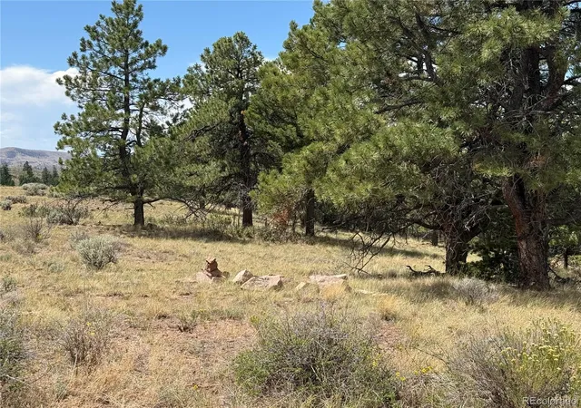 Photo 4 of Land for sale at Lot 291 Kline Ln, Fort Garland, CO 81133 | MLS# 7014941 | Listing updated on 2026-08-26