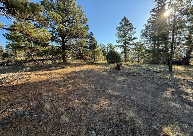 Photo 3 of Land for sale at Lot 164 Tahmoush Ln, Fort Garland, CO 81133 | MLS# 2892532 | Listing updated on 2026-08-26