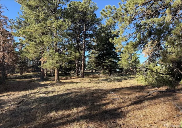 Photo 4 of Land for sale at Lot 164 Tahmoush Ln, Fort Garland, CO 81133 | MLS# 2892532 | Listing updated on 2026-08-26