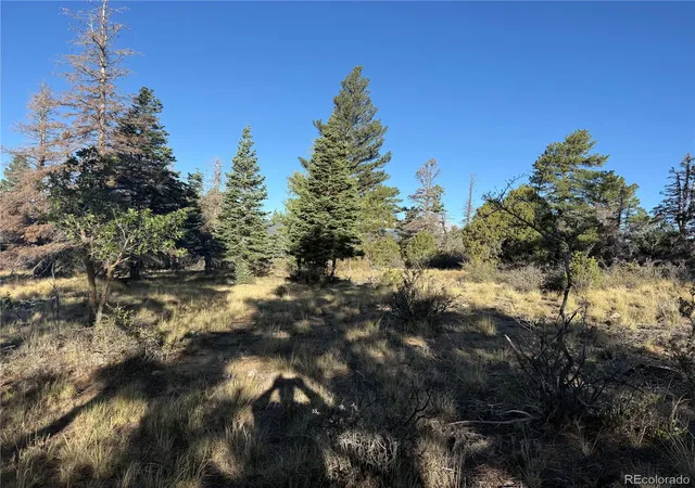 Photo 50 of Land for sale at Lot 164 Tahmoush Ln, Fort Garland, CO 81133 | MLS# 2892532 | Listing updated on 2026-08-26
