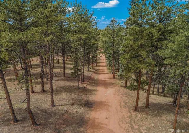 49th image of 46 Kingston Cir, Florissant, CO 80816 | MLS# 6542397