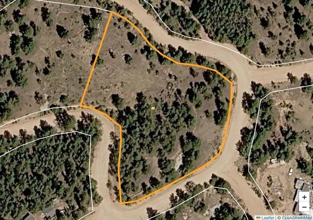 Photo 11 of Land for sale at 2075 Pikes Peak Dr, Florissant, CO 80816 | MLS# 5120174 | Listing updated on 2026-09-03
