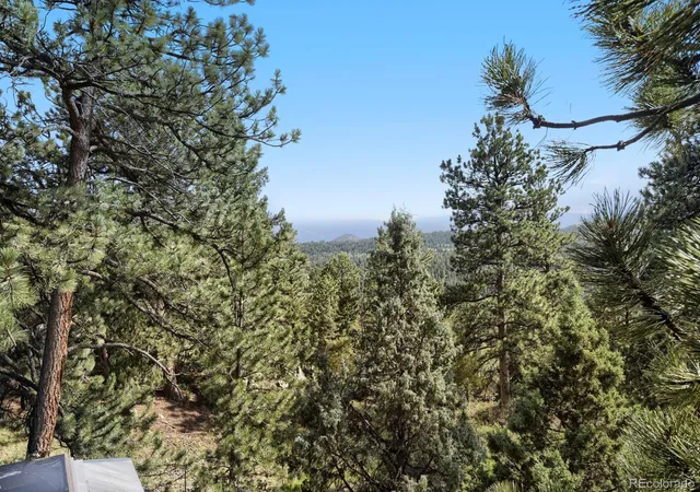 Photo 28 of Single family home for sale at 479 Doe Cir, Bailey, CO 80421 | MLS# 9518563 | Listing updated on 2026-09-02