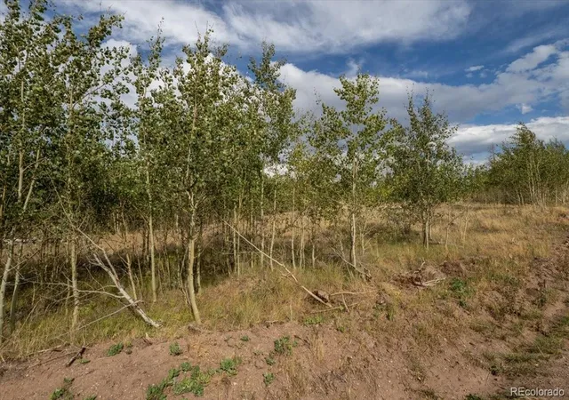 Photo 2 of Land for sale at Lot 1316 Biaggini Ln, Fort Garland, CO 81133 | MLS# 2109124 | Listing updated on 2026-08-31