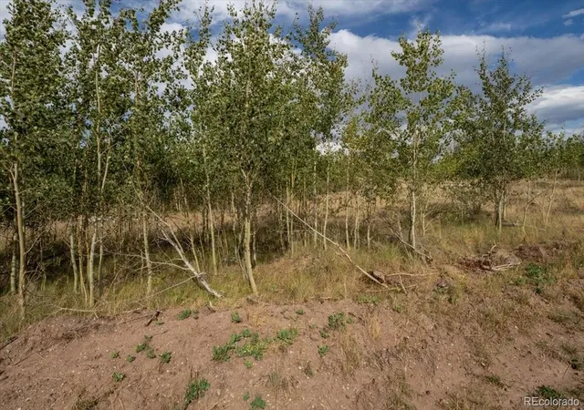 Photo 3 of Land for sale at Lot 1316 Biaggini Ln, Fort Garland, CO 81133 | MLS# 2109124 | Listing updated on 2026-08-31