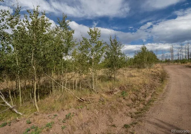 Photo 4 of Land for sale at Lot 1316 Biaggini Ln, Fort Garland, CO 81133 | MLS# 2109124 | Listing updated on 2026-08-31