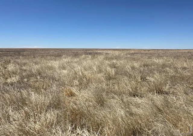 1st image of 12345 Road 22, Haswell, CO 81045 | MLS# IR1067415