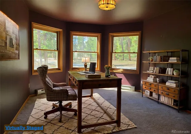 Photo 5 of Single family home for sale at 757 Thompson Park Rd, Fairplay, CO 80440 | MLS# 7256235 | Listing updated on 2026-08-29