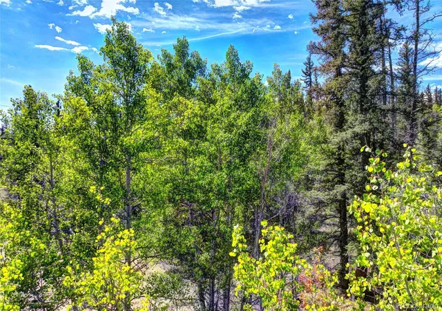 Photo 2 of Land for sale at 75 Swiggler Rd, Jefferson, CO 80456 | MLS# 5480697 | Listing updated on 2026-09-02