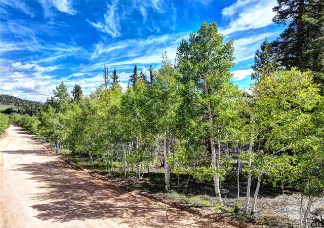 Photo 4 of Land for sale at 820 Overland Cir, Jefferson, CO 80456 | MLS# 9181387 | Listing updated on 2026-09-02