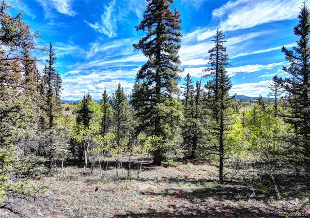 Photo 4 of Land for sale at 860 Shoshone Dr, Como, CO 80456 | MLS# 6807346 | Listing updated on 2026-08-30