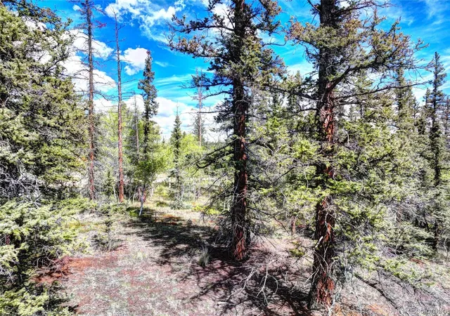Photo 5 of Land for sale at 860 Shoshone Dr, Como, CO 80456 | MLS# 6807346 | Listing updated on 2026-08-30