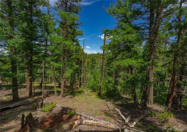 Photo 1 of Land for sale at 384 Insmont Ln, Florissant, CO 80816 | MLS# 9697274 | Listing updated on 2026-10-02