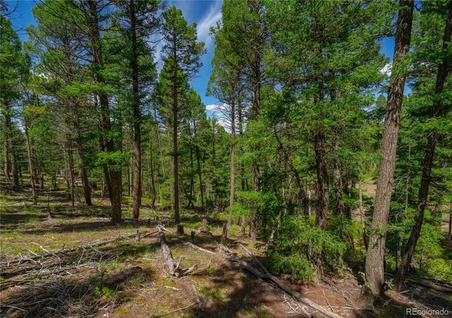 Photo 2 of Land for sale at 384 Insmont Ln, Florissant, CO 80816 | MLS# 9697274 | Listing updated on 2026-10-02