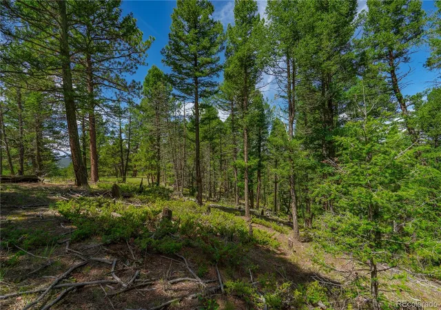 Photo 3 of Land for sale at 384 Insmont Ln, Florissant, CO 80816 | MLS# 9697274 | Listing updated on 2026-10-02