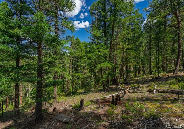 Photo 4 of Land for sale at 384 Insmont Ln, Florissant, CO 80816 | MLS# 9697274 | Listing updated on 2026-10-02