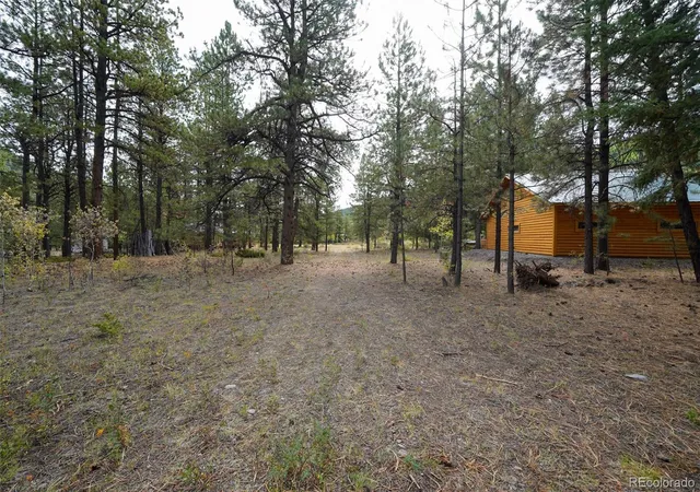 Photo 1 of Land for sale at 136 Elk Meadow Run, Antonito, CO 81120 | MLS# 6826656 | Listing updated on 2026-10-07