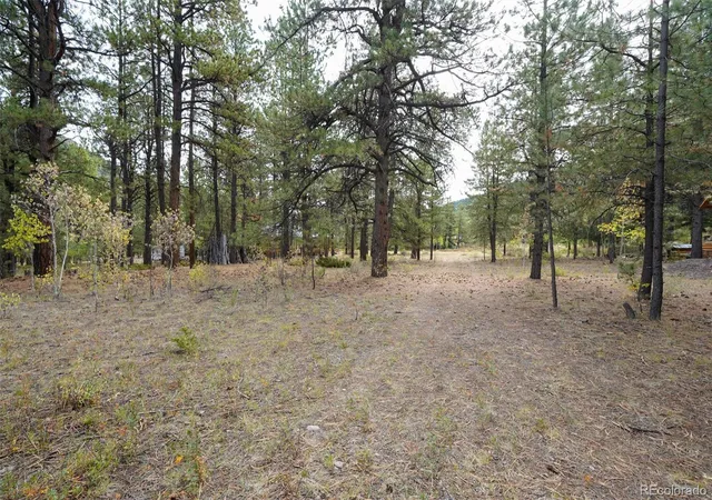 Photo 2 of Land for sale at 136 Elk Meadow Run, Antonito, CO 81120 | MLS# 6826656 | Listing updated on 2026-10-07