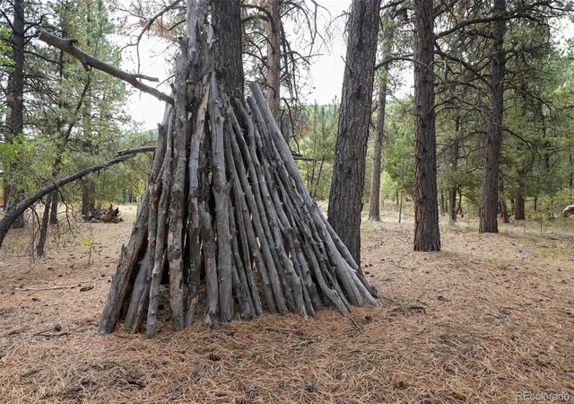 Photo 3 of Land for sale at 136 Elk Meadow Run, Antonito, CO 81120 | MLS# 6826656 | Listing updated on 2026-10-07