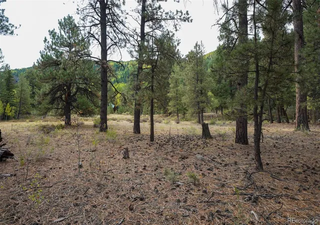 Photo 4 of Land for sale at 136 Elk Meadow Run, Antonito, CO 81120 | MLS# 6826656 | Listing updated on 2026-10-07