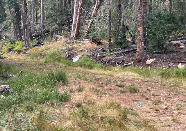 Photo 5 of Land for sale at 9Ac Clinton Rd, San Luis, CO 81152 | MLS# 8434260 | Listing updated on 2026-08-31
