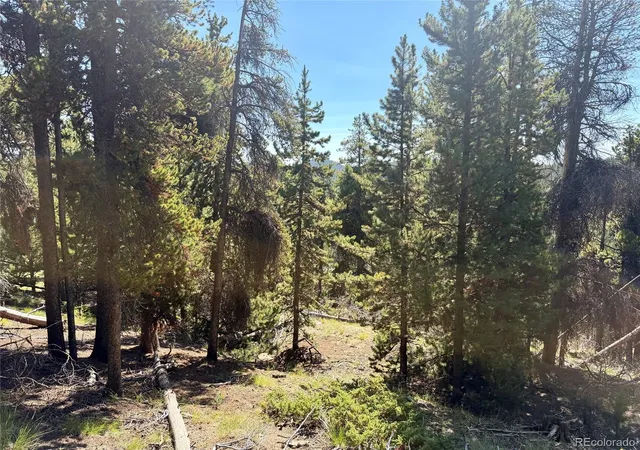 Photo 4 of Land for sale at 0 Lodgepole Cir, Evergreen, CO 80439 | MLS# 3362783 | Listing updated on 2026-08-31