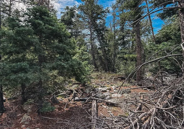 Photo 3 of Land for sale at 401 Lake Of The Fls Pkwy, Mosca, CO 81146 | MLS# 5970113 | Listing updated on 2026-08-31