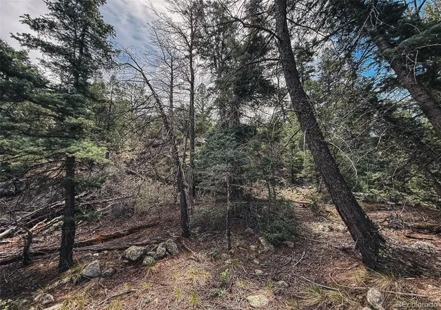 Photo 5 of Land for sale at 401 Lake Of The Fls Pkwy, Mosca, CO 81146 | MLS# 5970113 | Listing updated on 2026-08-31