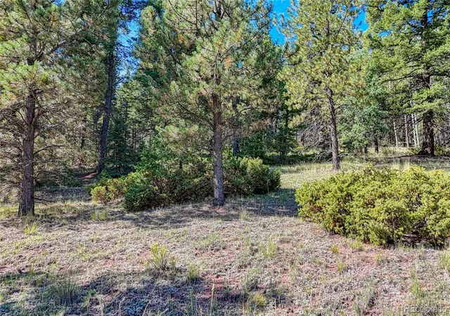 Photo 4 of Land for sale at 1232 Monarch Dr, Cripple Creek, CO 80813 | MLS# 2751480 | Listing updated on 2026-08-31