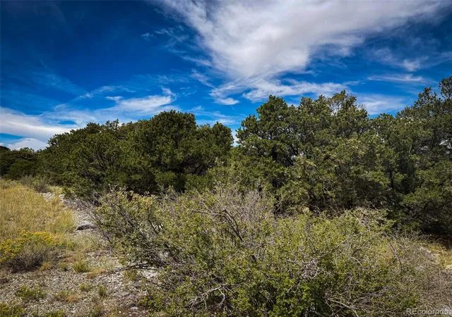 Photo 4 of Land for sale at 33 Stage Sta Cir, Mosca, CO 81146 | MLS# 7482217 | Listing updated on 2026-08-31