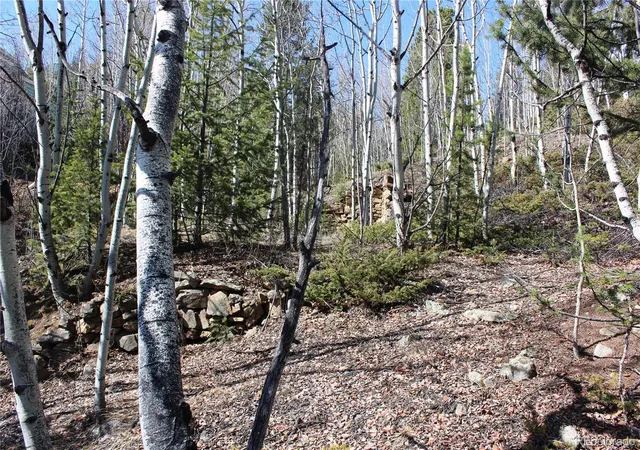 Photo 1 of Land for sale at 00 Spruce St, Central City, CO 80427 | MLS# 5737954 | Listing updated on 2026-08-31