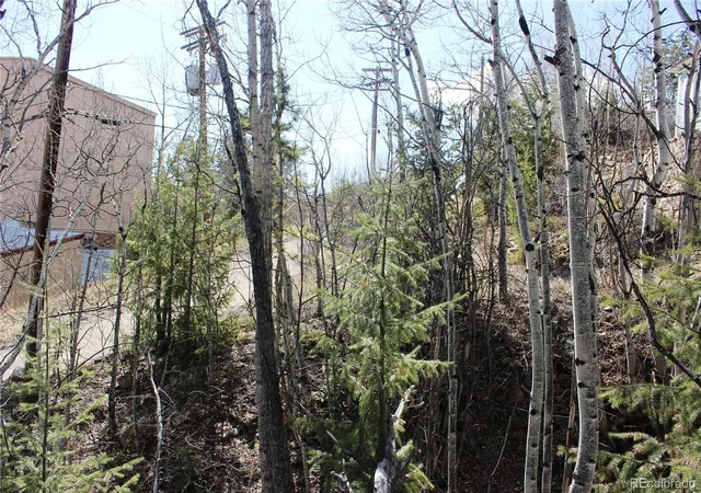Photo 2 of Land for sale at 00 Spruce St, Central City, CO 80427 | MLS# 5737954 | Listing updated on 2026-08-31