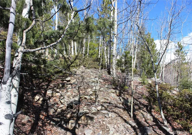 Photo 3 of Land for sale at 00 Spruce St, Central City, CO 80427 | MLS# 5737954 | Listing updated on 2026-08-31