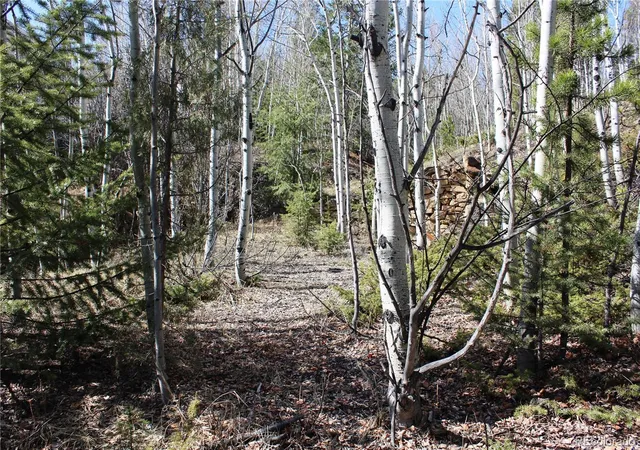 Photo 3 of Land for sale at 00 Spruce St, Central City, CO 80427 | MLS# 5737954 | Listing updated on 2026-08-31