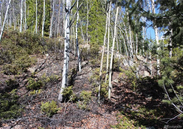 Photo 4 of Land for sale at 00 Spruce St, Central City, CO 80427 | MLS# 5737954 | Listing updated on 2026-08-31