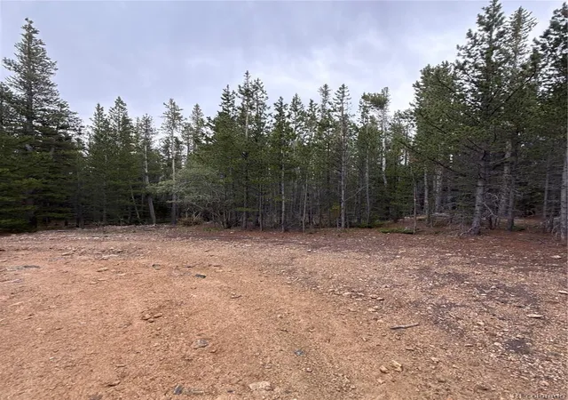 Photo 2 of Land for sale at 111 Green Ct, Idaho Springs, CO 80452 | MLS# 3338951 | Listing updated on 2026-09-04