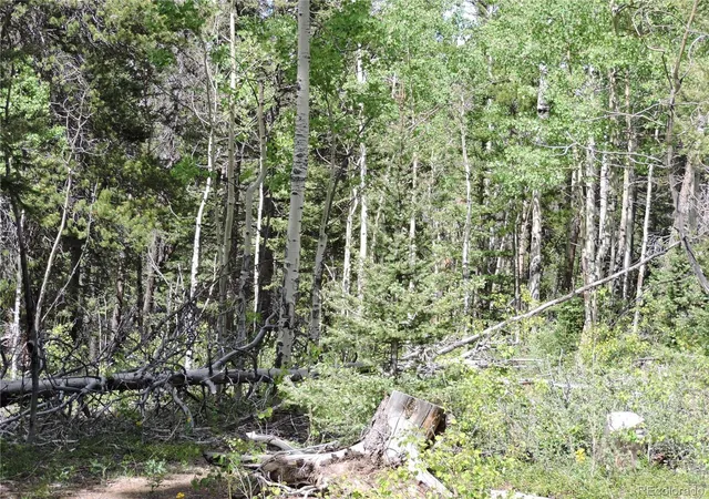 Photo 3 of Land for sale at 00 Georgia Pass Lookout, Jefferson, CO 80456 | MLS# 7858746 | Listing updated on 2026-09-04