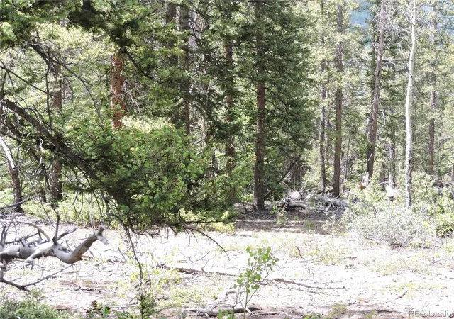 Photo 3 of Land for sale at 00 Georgia Pass Lookout, Jefferson, CO 80456 | MLS# 7858746 | Listing updated on 2026-09-04