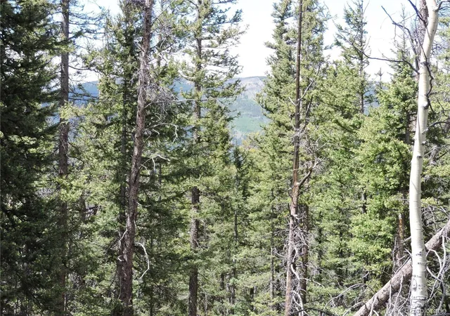 Photo 4 of Land for sale at 00 Georgia Pass Lookout, Jefferson, CO 80456 | MLS# 7858746 | Listing updated on 2026-09-04